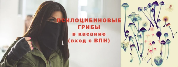 ECSTASY Абаза