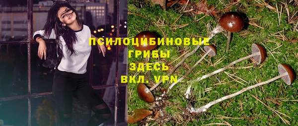 a pvp Абинск