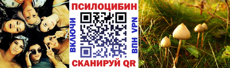 Галлюциногенные грибы MAGIC MUSHROOMS Карталы